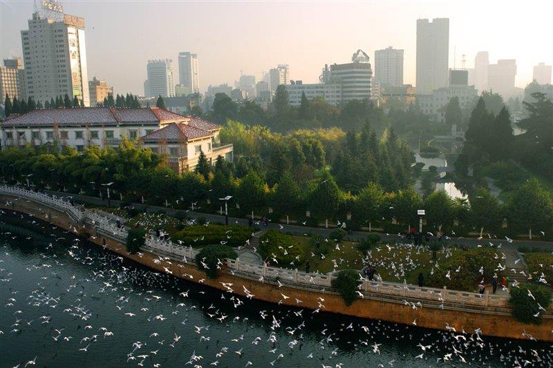 母親河盤龍江 http://www.jinzhengkj.com.cn/ 母親河盤龍江 http://www.jinzhengkj.com.cn/