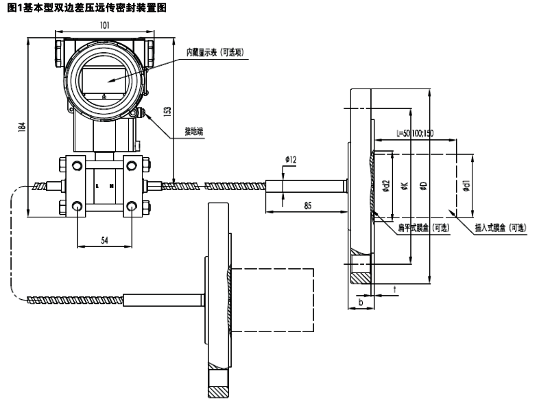 雙法蘭差壓變送器結(jié)構(gòu)示意圖 雙法蘭差壓變送器結(jié)構(gòu)示意圖