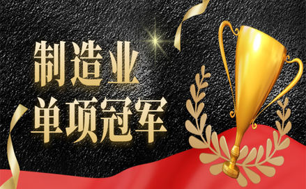 制造業(yè)單項(xiàng)冠軍示范企業(yè) 制造業(yè)單項(xiàng)冠軍示范企業(yè)