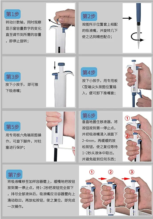 用移液槍轉移液體 用移液槍轉移液體